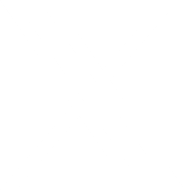 Visazone Logo