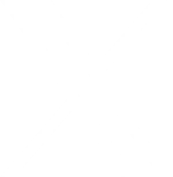 Visazone logo
